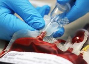 Мусульмане Усть-Каменогорска отметили первый день уразы сдачей донорской крови. Новости Рамадана