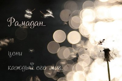 Одуванчик. Рамадан-аватары. О Рамадане