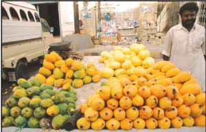 Впервые за 26 лет Рамадан выпал на сбор урожая манго. Новости Рамадана