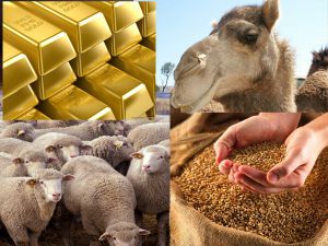 Институт по выплате закята снимет социальную напряженность в обществе