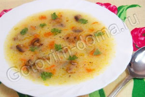 Картофельный суп-пюре с грибами. Первые блюда