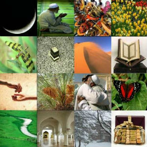 Желательные действия в месяце Рамадане. Учебник Рамадана